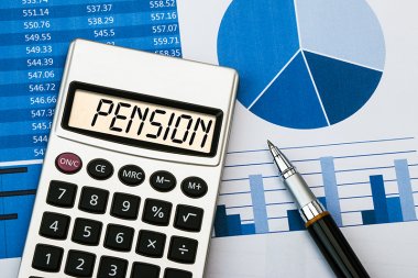 Pension & Gratuity Calculator